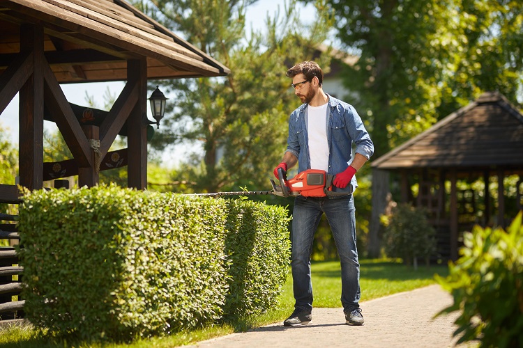 EverMow Services