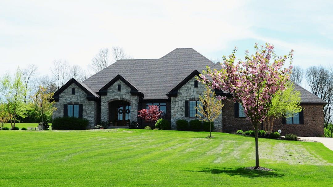 professional lawn