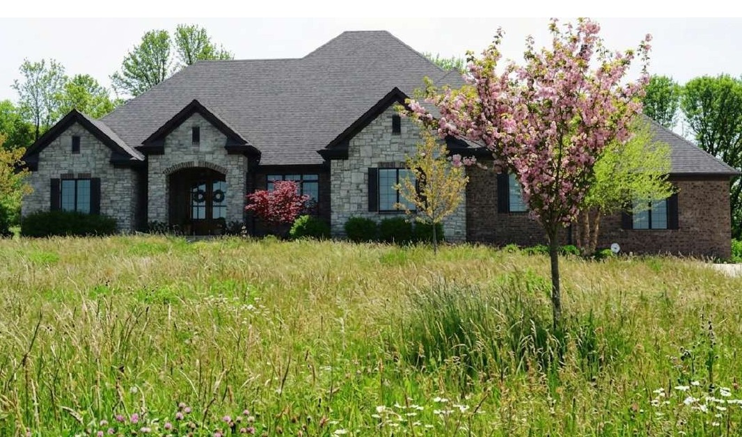 Overgrown Lawn