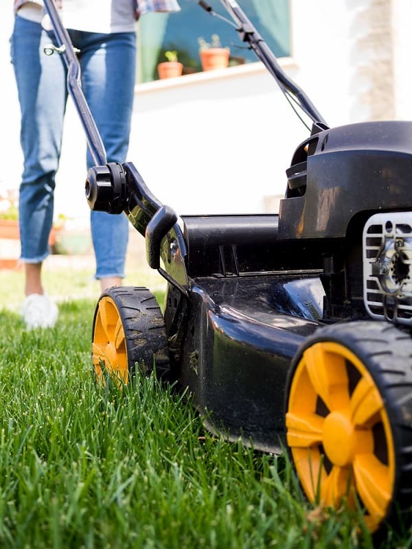 Professional lawn care equipment