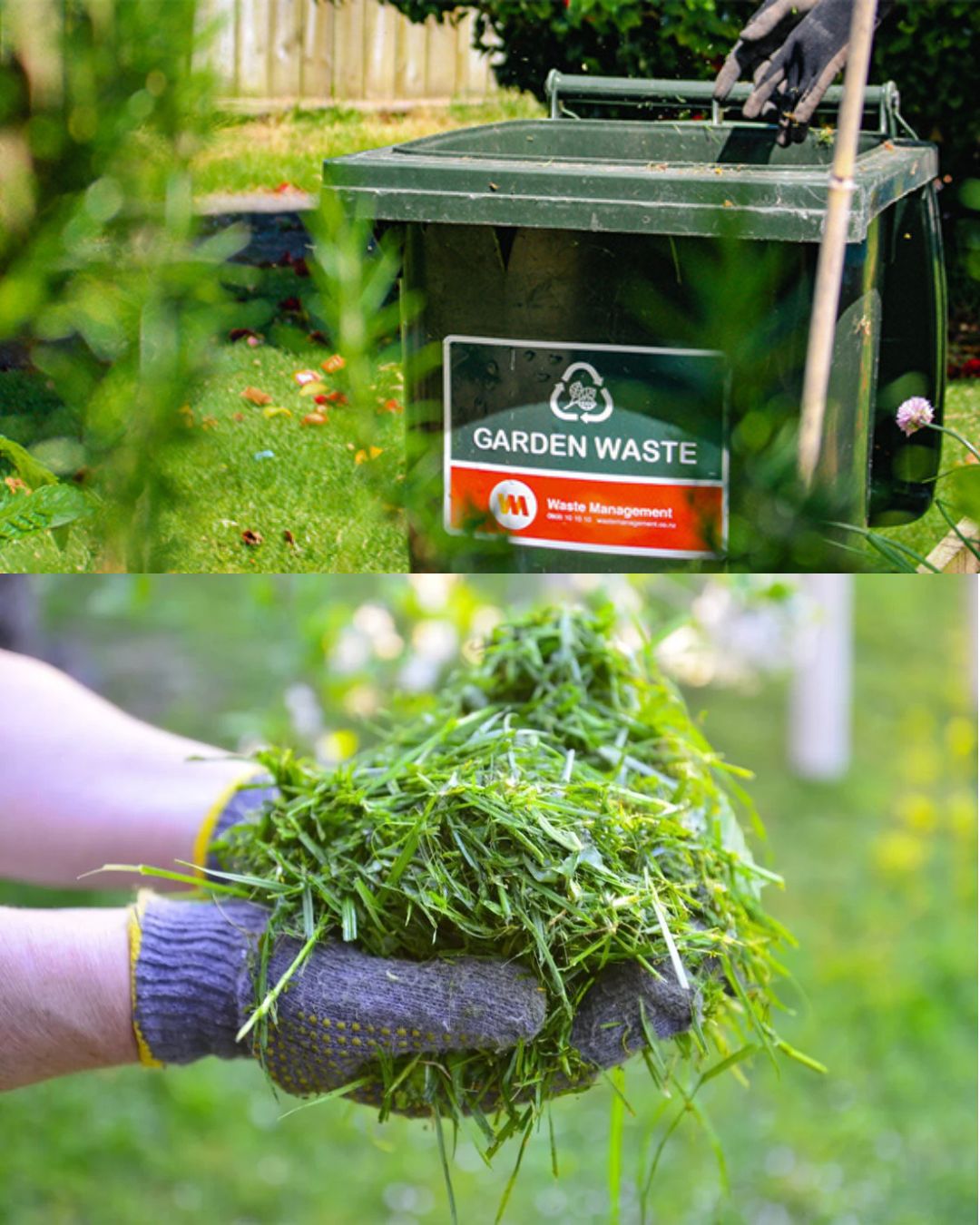 Green Waste Removal