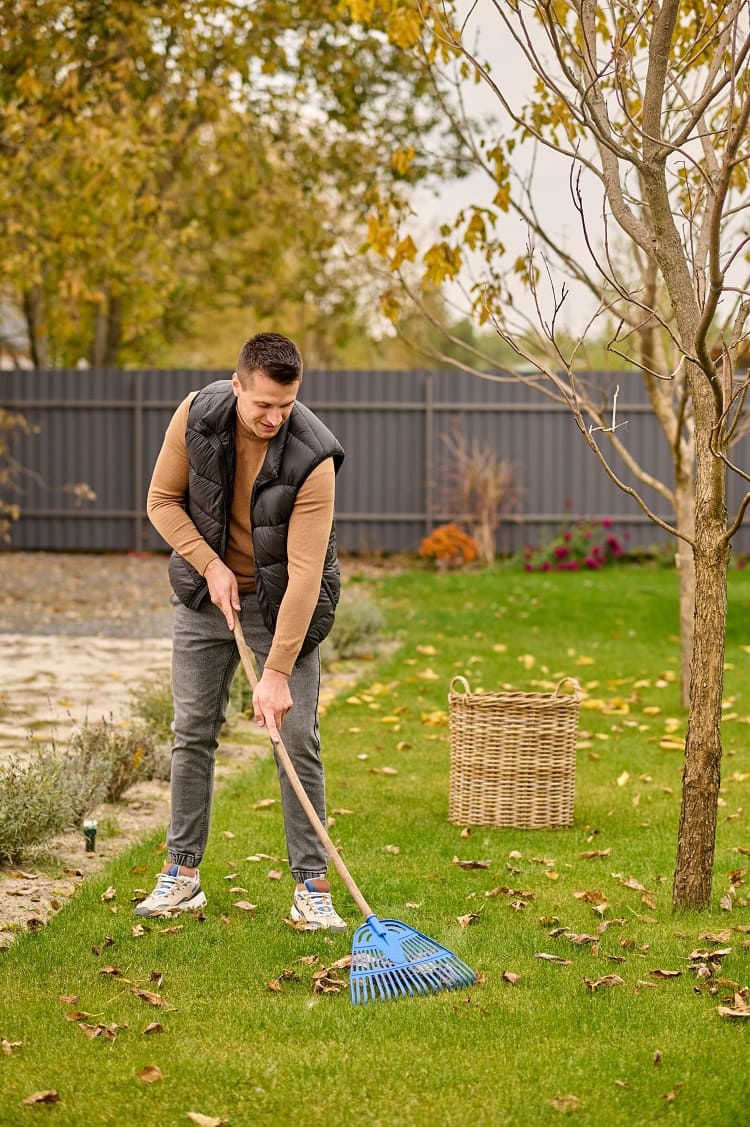 Garden Clean Up